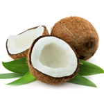 coconut