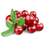 cranberry