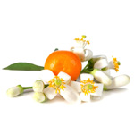 neroli