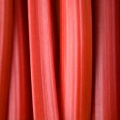 rhuburb