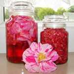 tinctureofrose